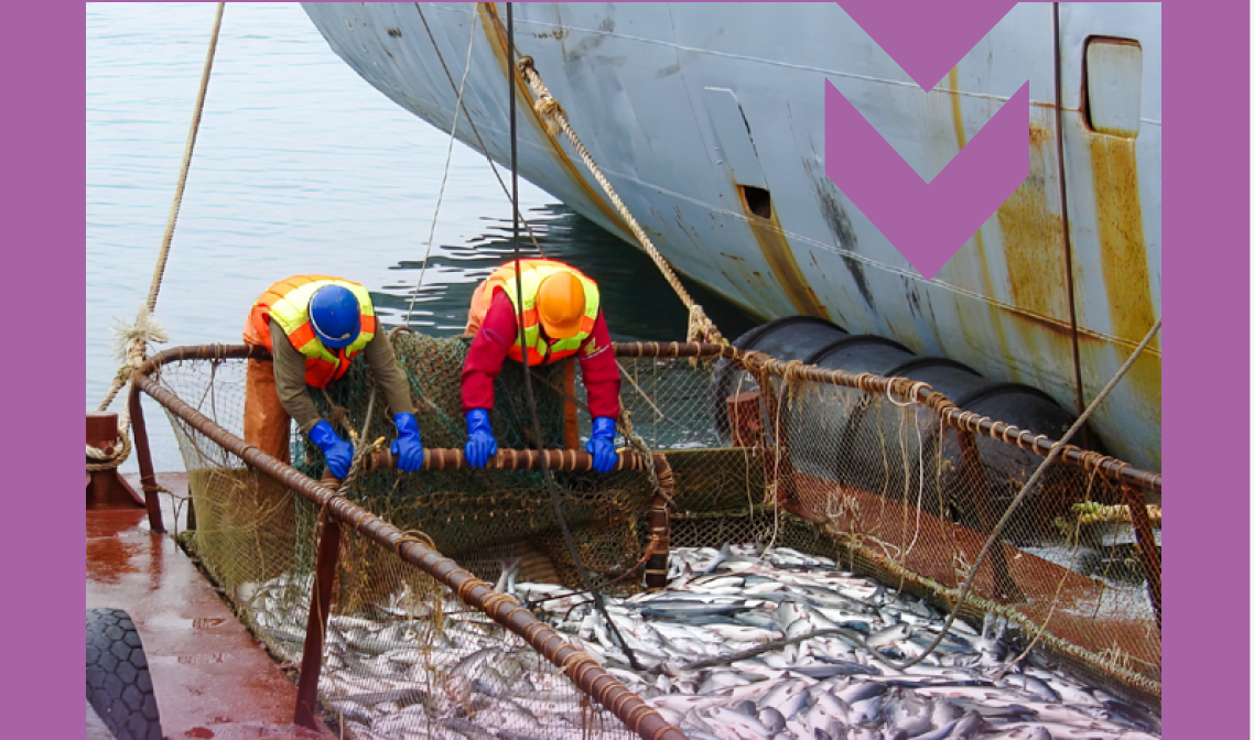 Accords d’accès aux pêcheries internationales